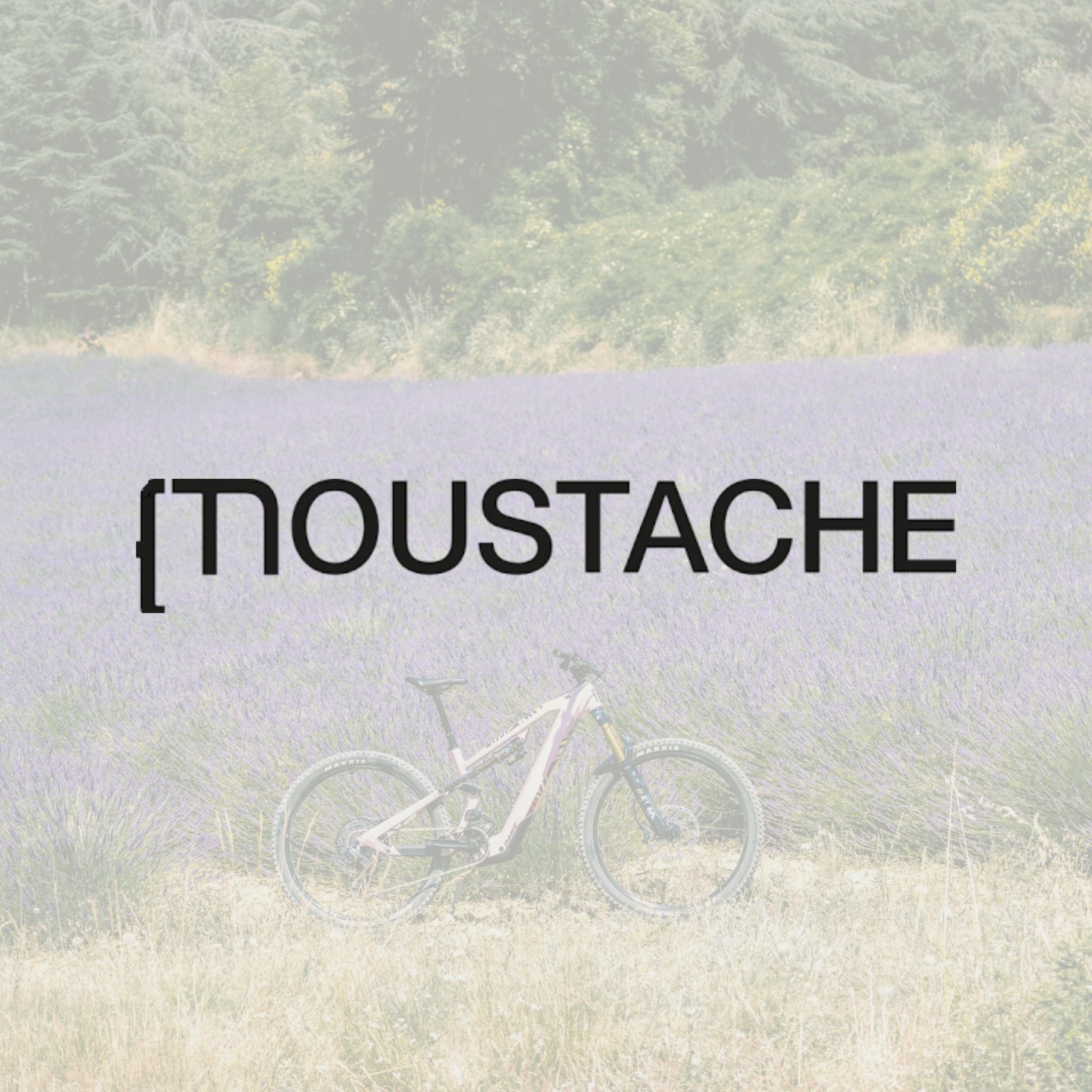 All Moustache Ebikes