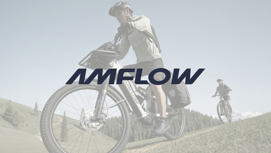 Amflow TL Carbon