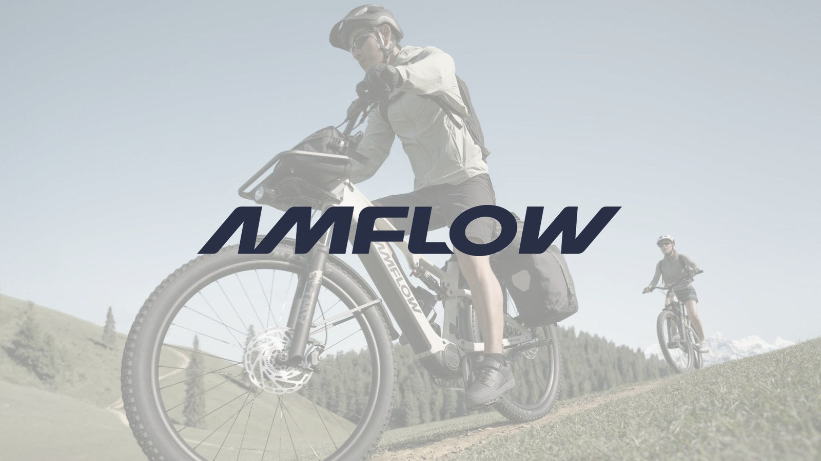 Amflow TL Carbon