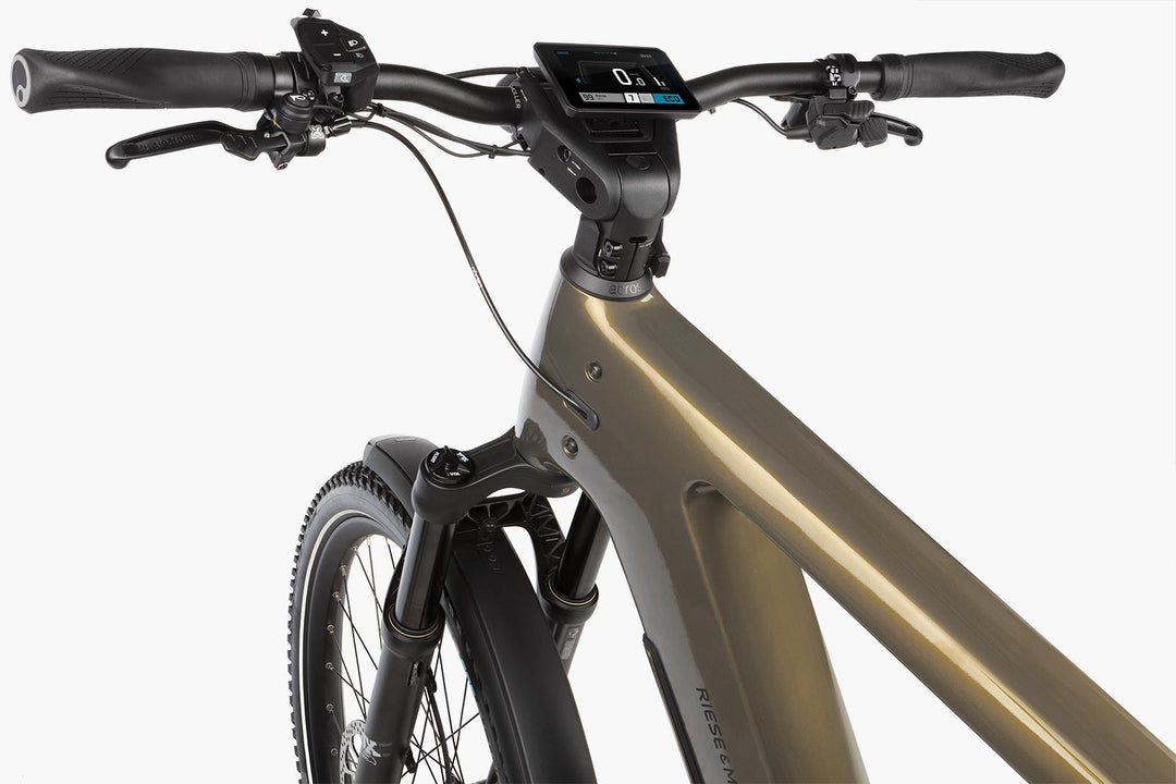 Delite5 GT Pinion, 51cm, Amber