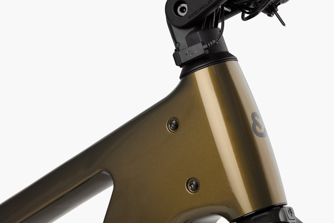 Delite5 GT Pinion, 51cm, Amber