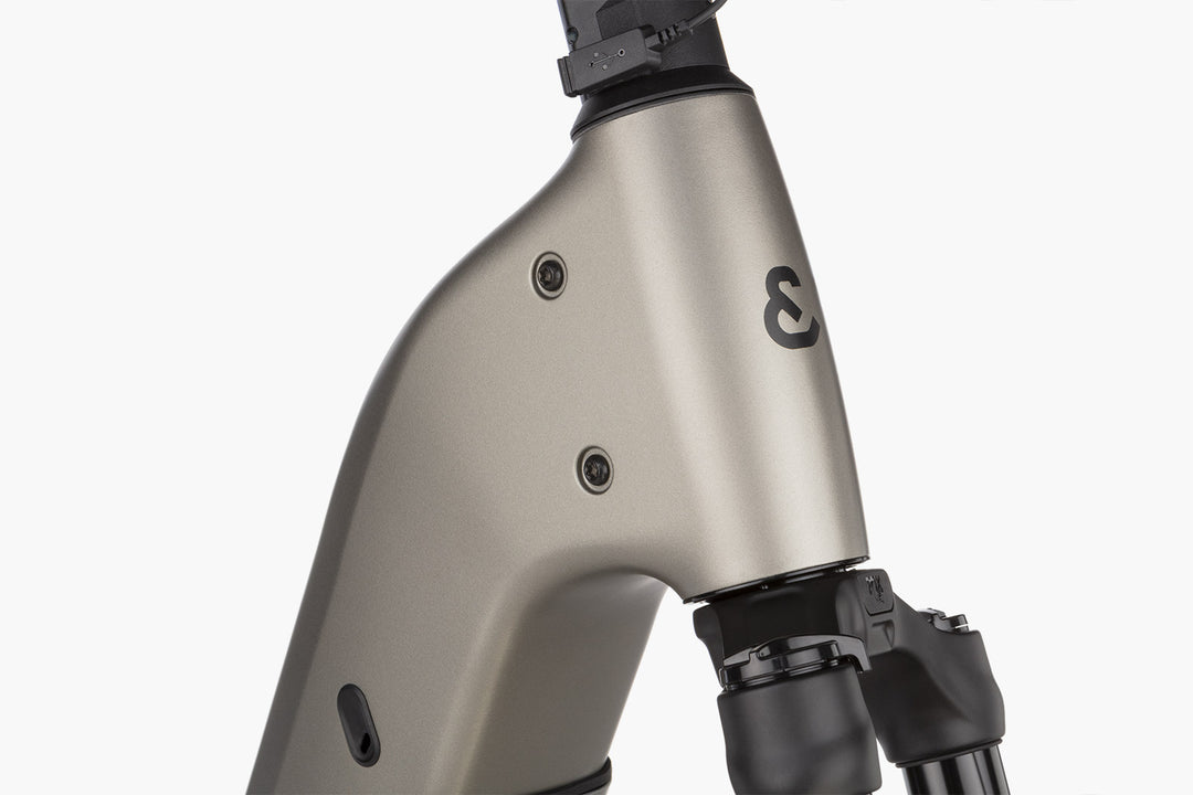 Homage5 Pinion, 51cm, Warm Silver