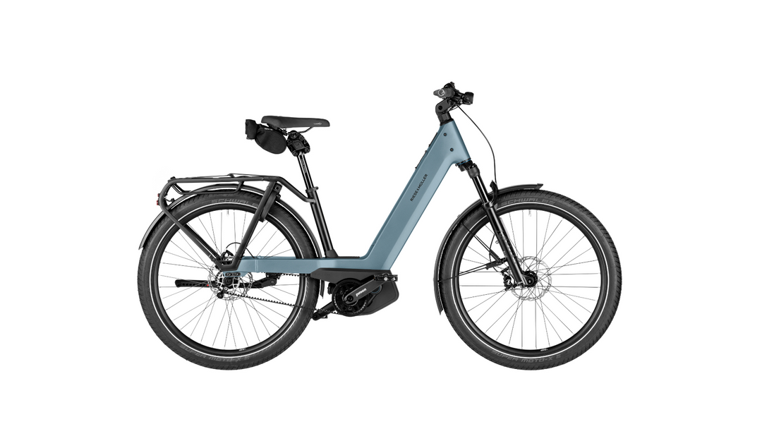 Factory Order - Riese & Müller Nevo5