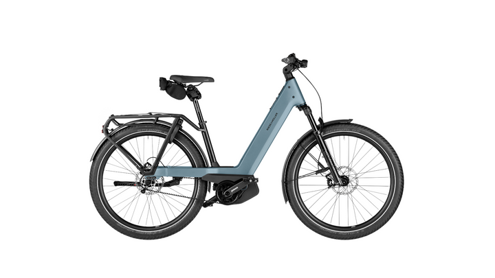 Factory Order - Riese & Müller Nevo5