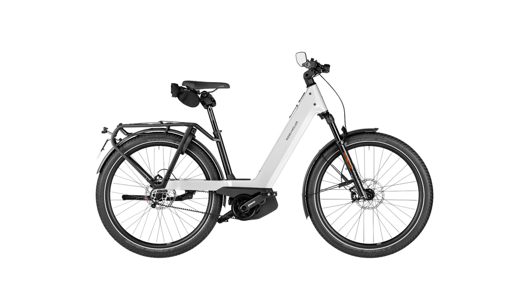 Factory Order - Riese & Müller Nevo5