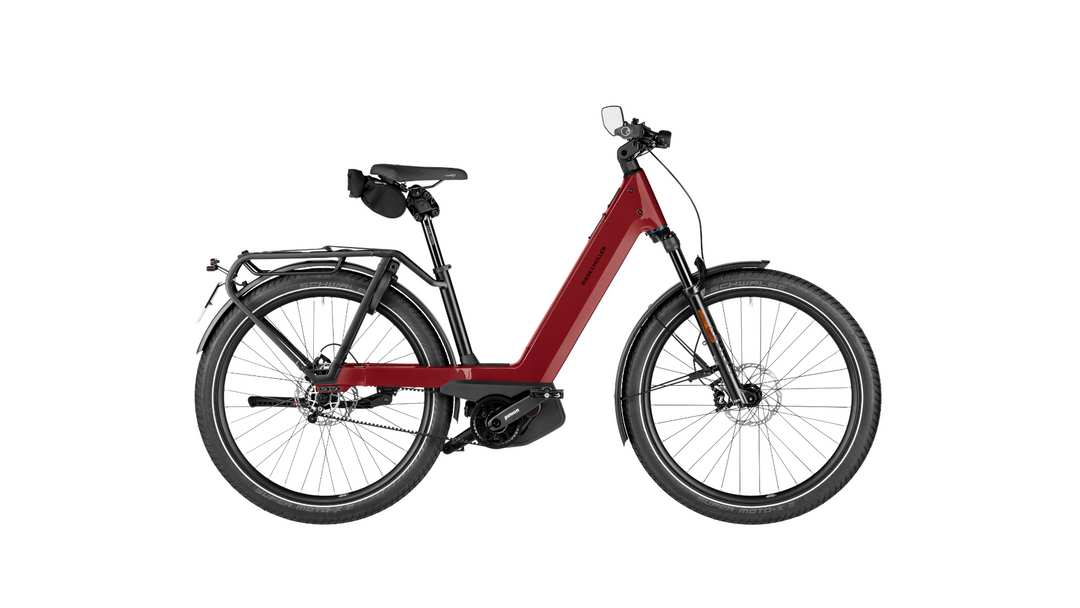 Factory Order - Riese & Müller Nevo5