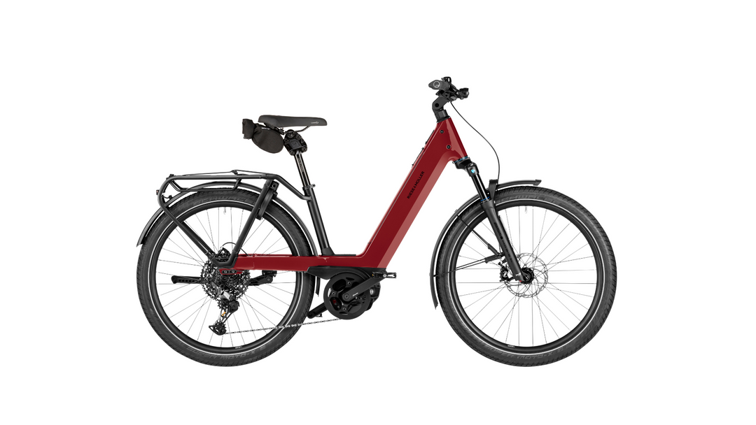 Factory Order - Riese & Müller Nevo5