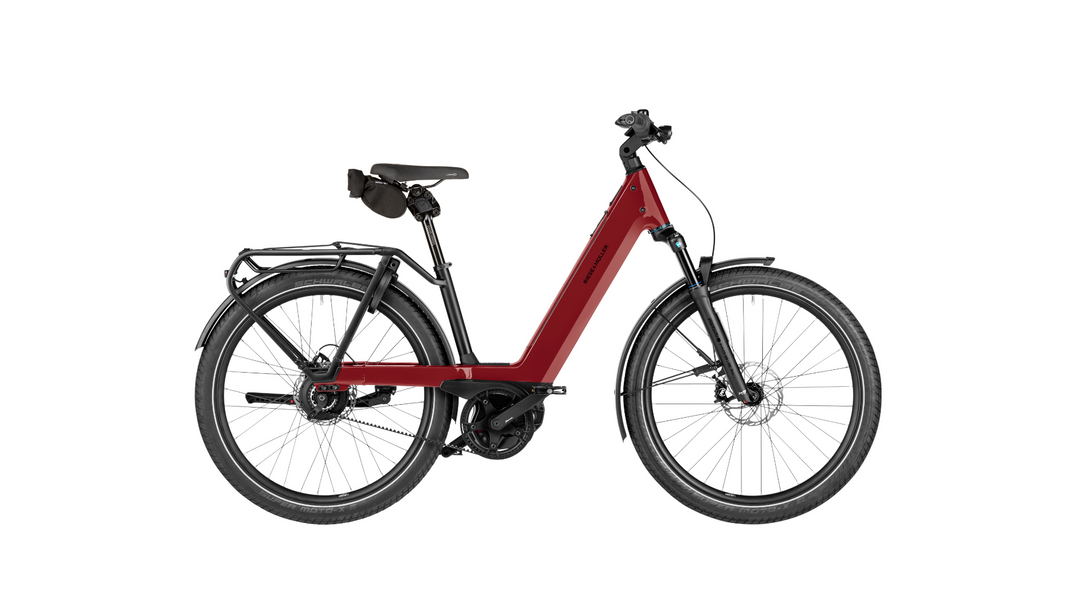 Factory Order - Riese & Müller Nevo5