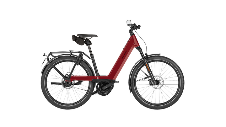 Factory Order - Riese & Müller Nevo5