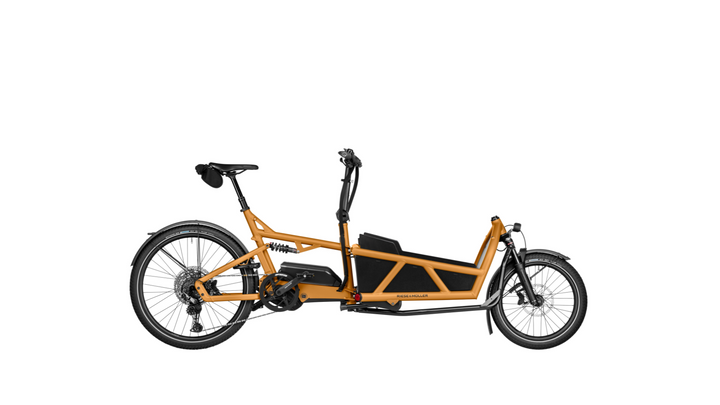 Factory Order - Riese & Müller Load5