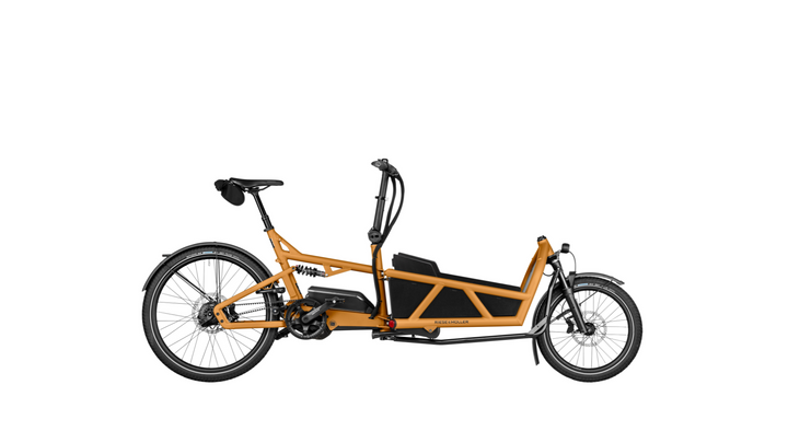 Factory Order - Riese & Müller Load5