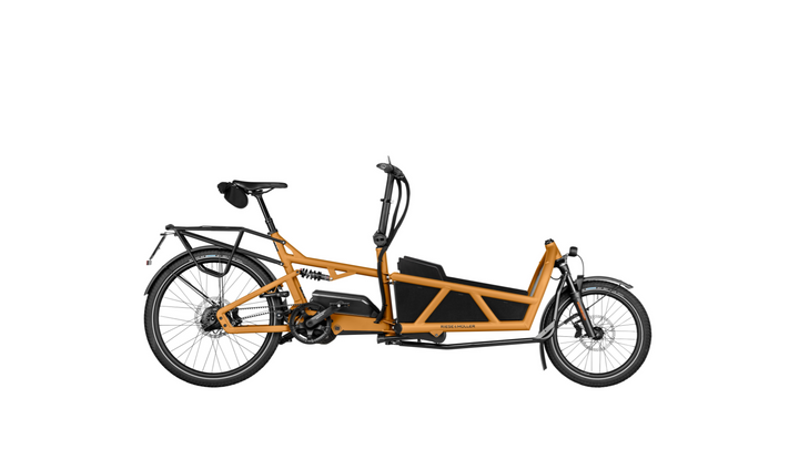 Factory Order - Riese & Müller Load5