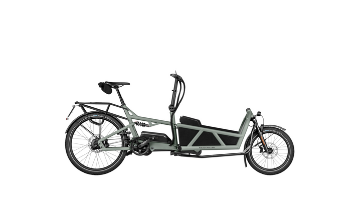 Factory Order - Riese & Müller Load5