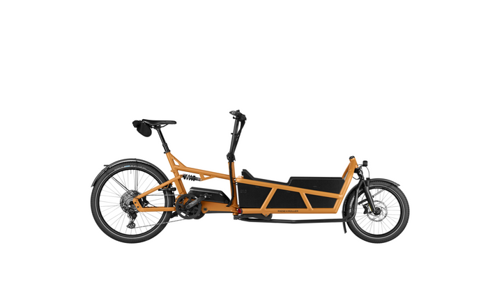 Factory Order - Riese & Müller Load5