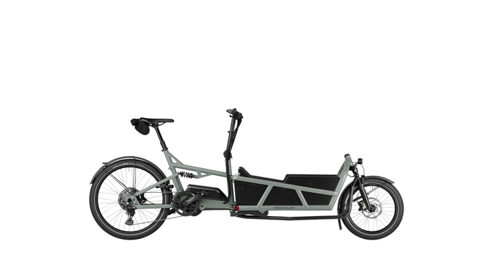 Factory Order - Riese & Müller Load5