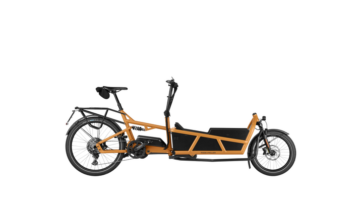 Factory Order - Riese & Müller Load5