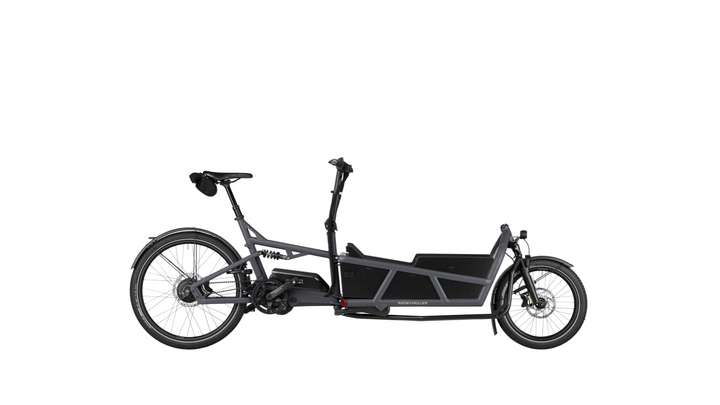 Factory Order - Riese & Müller Load5