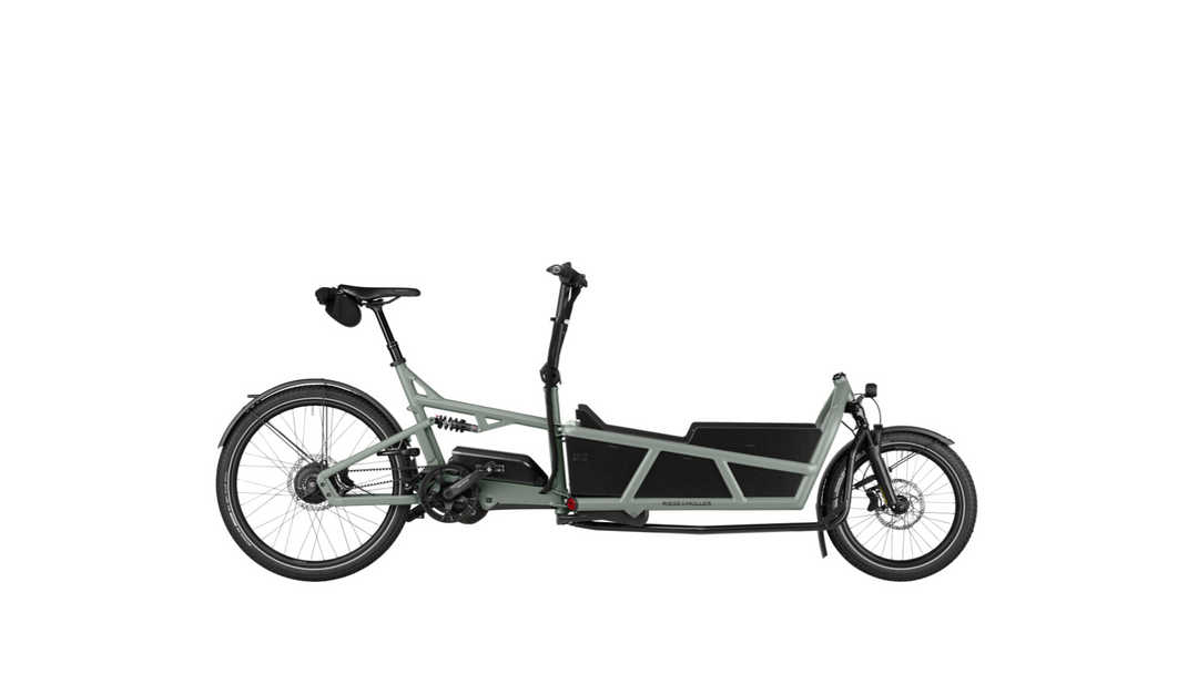 Factory Order - Riese & Müller Load5