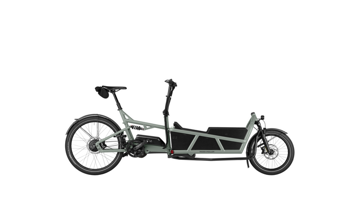 Factory Order - Riese & Müller Load5