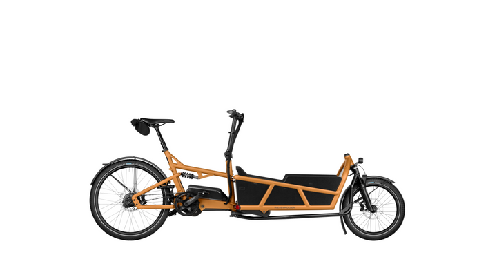 Factory Order - Riese & Müller Load5