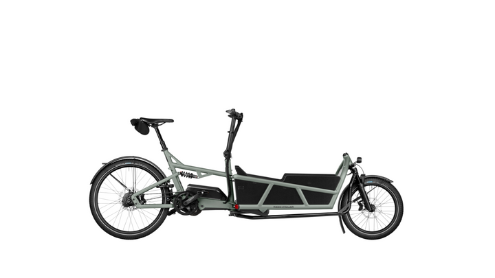 Factory Order - Riese & Müller Load5