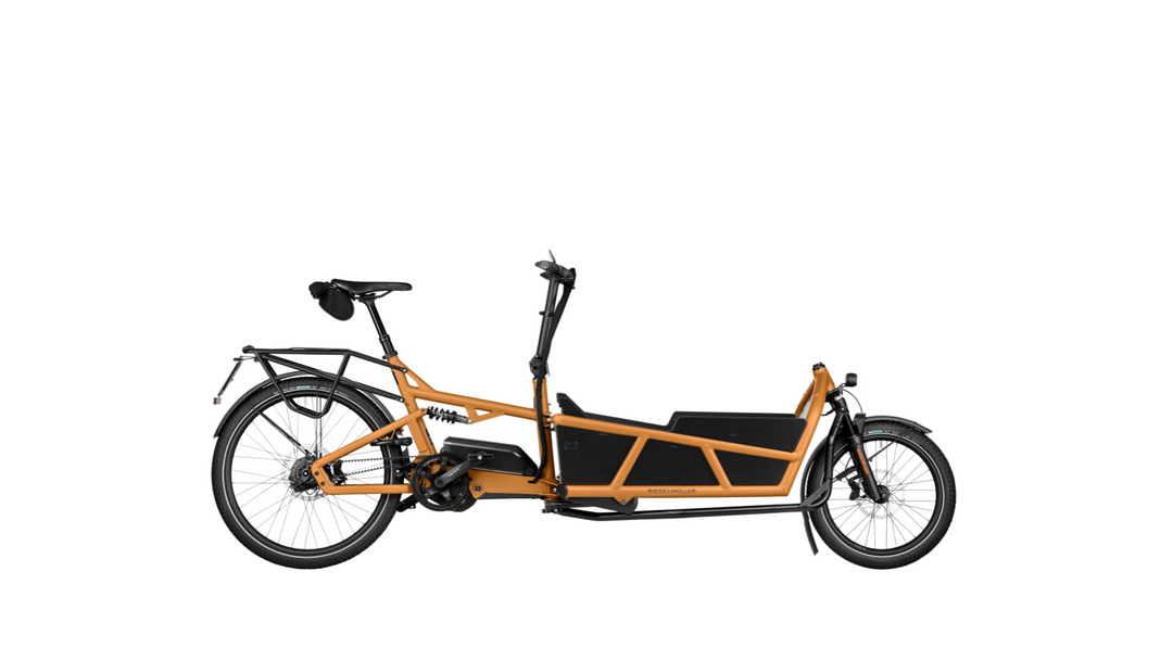 Factory Order - Riese & Müller Load5