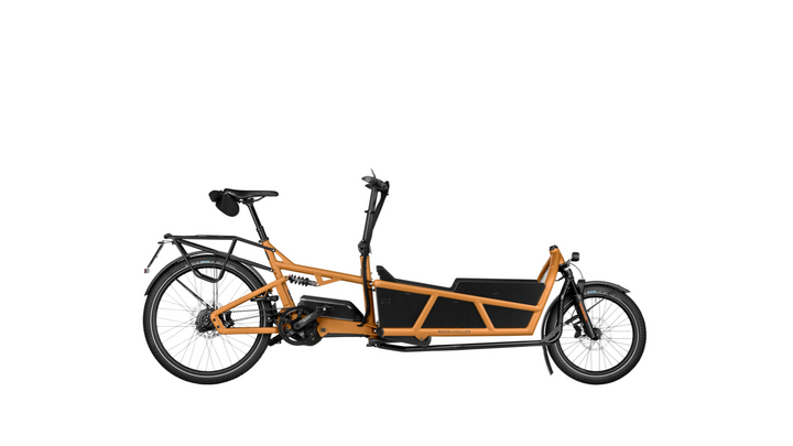 Factory Order - Riese & Müller Load5