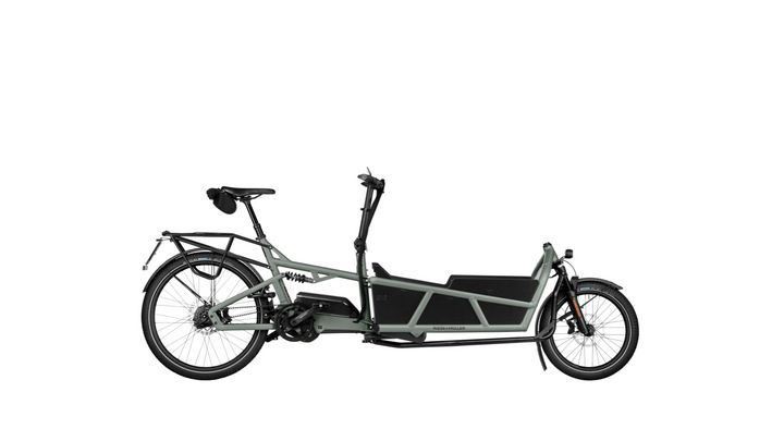 Factory Order - Riese & Müller Load5