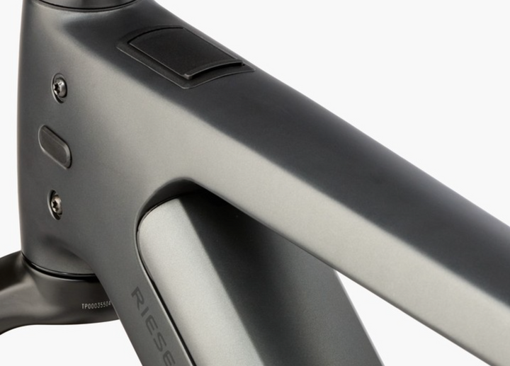 Charger5 Rohloff, 49cm, Slate Grey