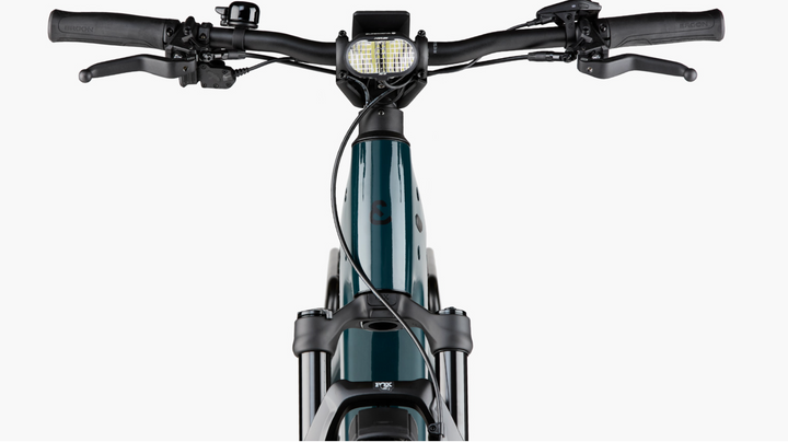 Charger5 Rohloff, 49cm, Slate Grey