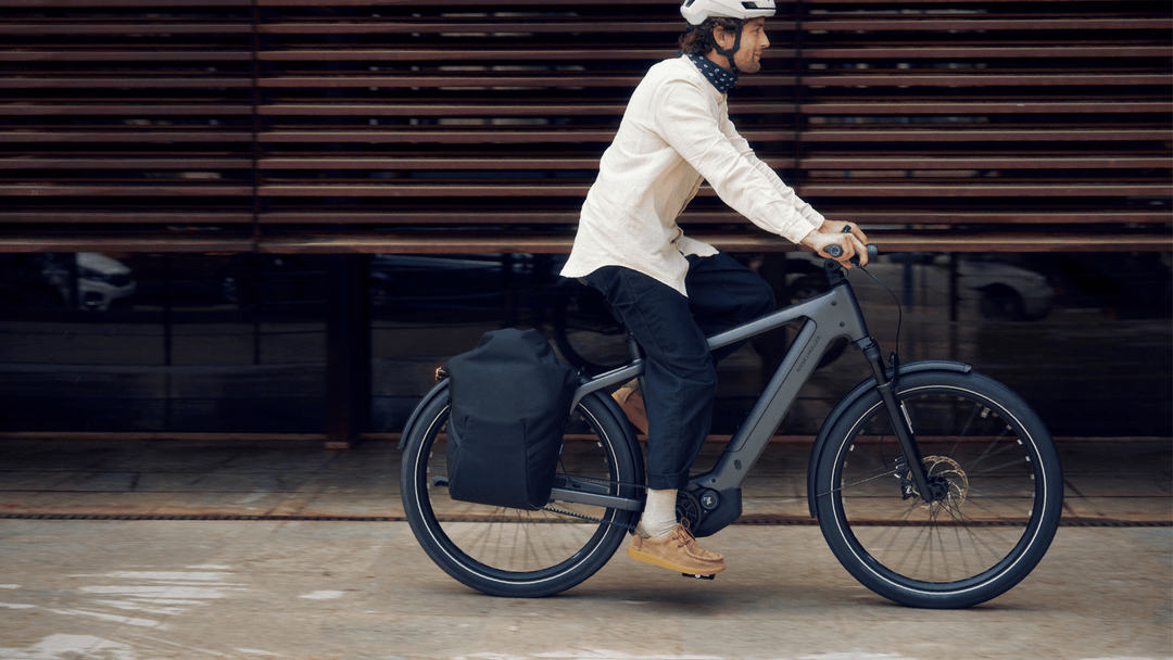 Charger5 Rohloff, 49cm, Slate Grey