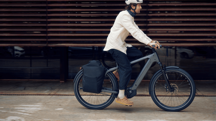 Charger5 Rohloff, 49cm, Slate Grey