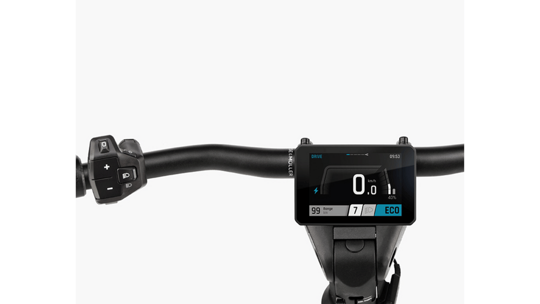 Factory Order - Riese & Müller Homage5