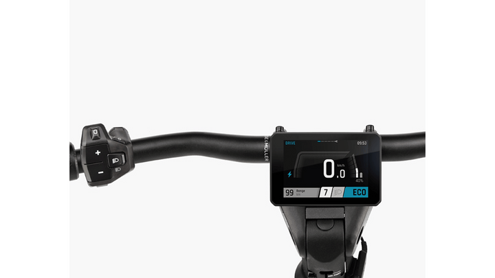 Factory Order - Riese & Müller Homage5