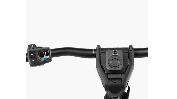 Factory Order - Riese & Müller Homage5