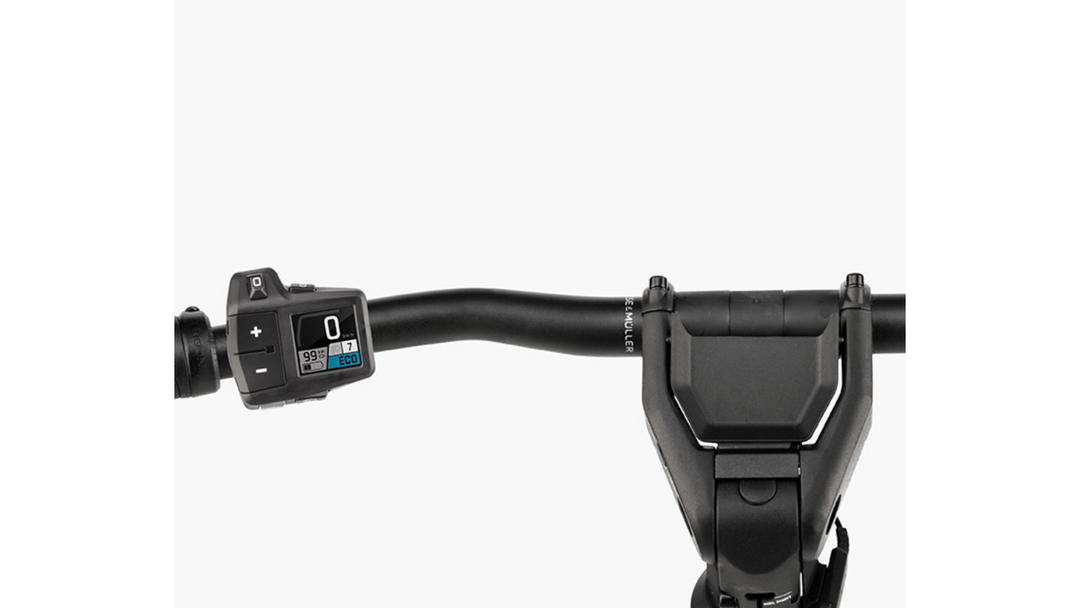 Factory Order - Riese & Müller Homage5