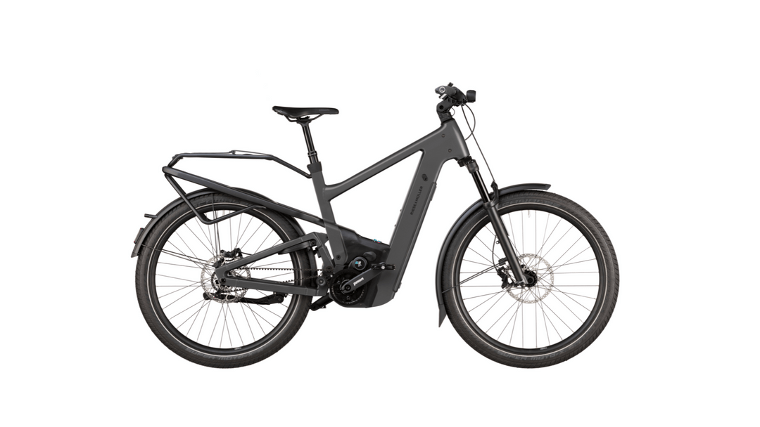 Factory Order - Riese & Müller Delite5