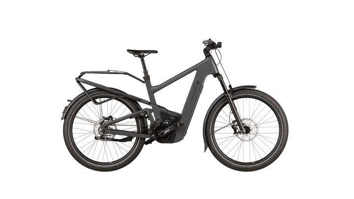 Factory Order - Riese & Müller Delite5