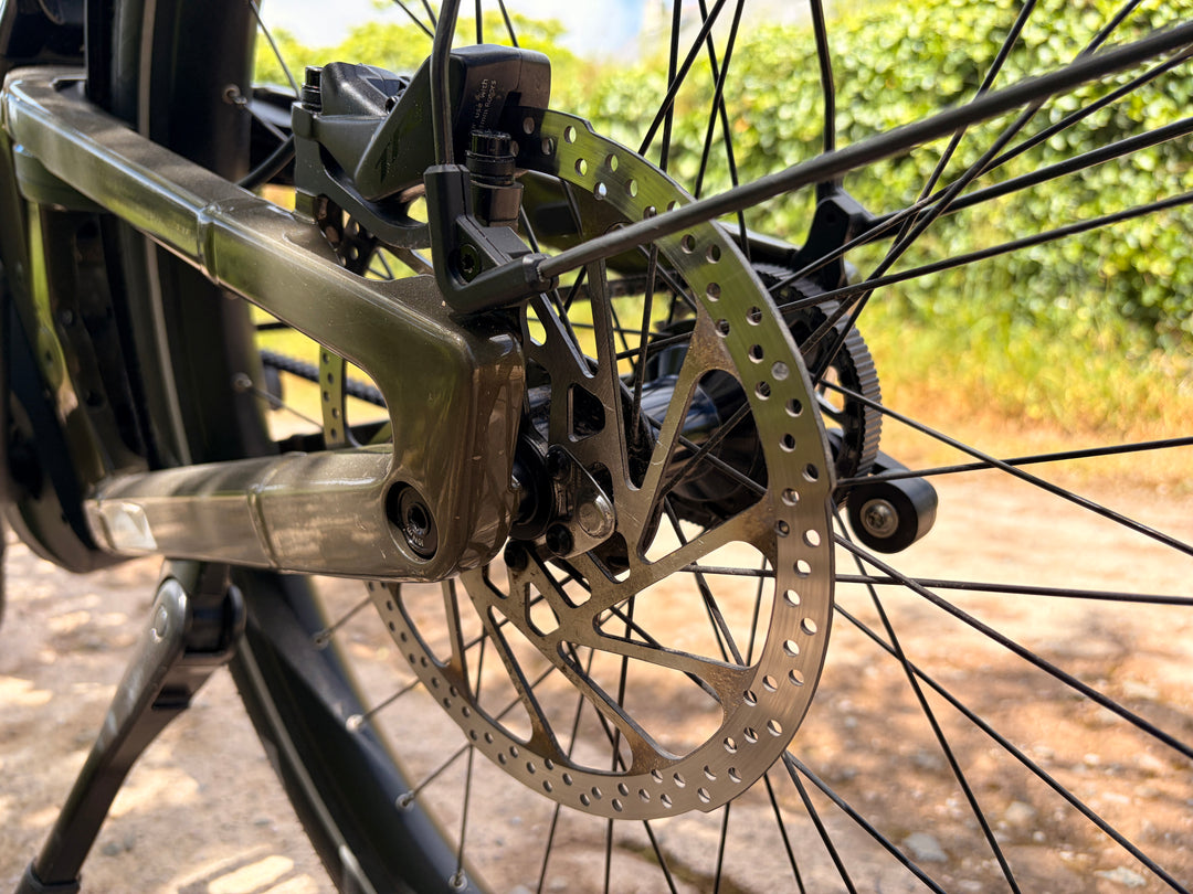 Delite5 GT Pinion, 51cm, Amber