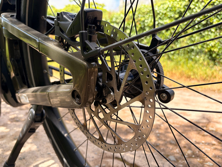 Delite5 GT Pinion, 51cm, Amber