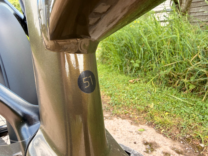 Delite5 GT Pinion, 51cm, Amber
