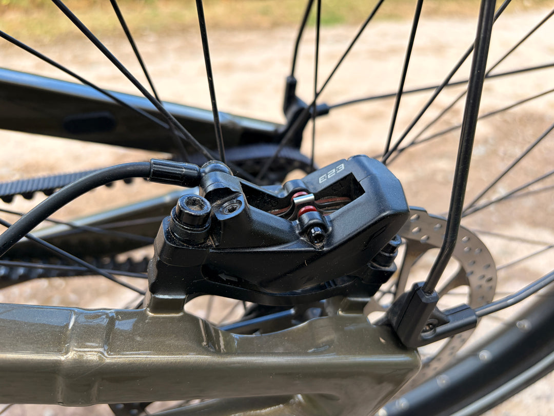 Delite5 GT Pinion, 51cm, Amber