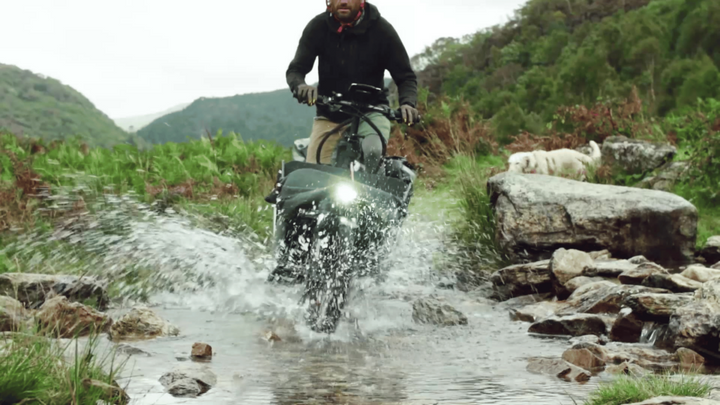 Factory Order - Riese & Müller Load5