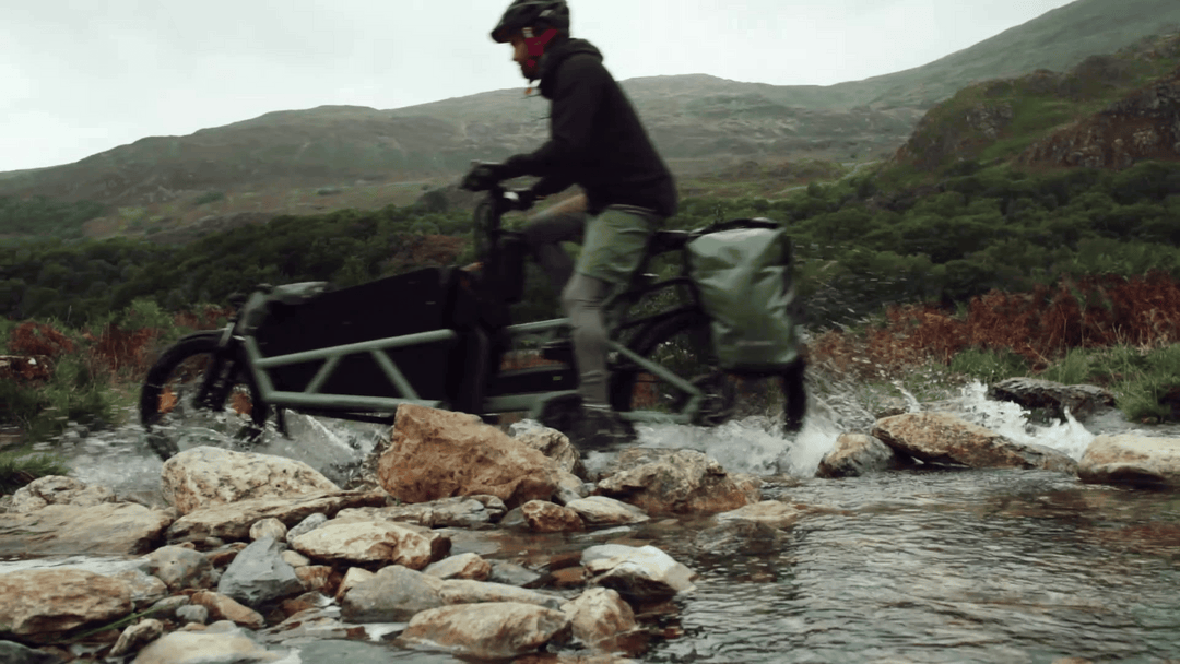 Factory Order - Riese & Müller Load5