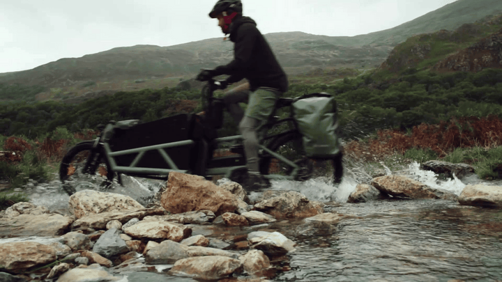 Factory Order - Riese & Müller Load5