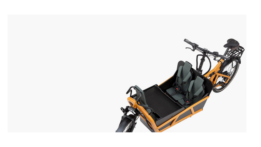 Factory Order - Riese & Müller Load5