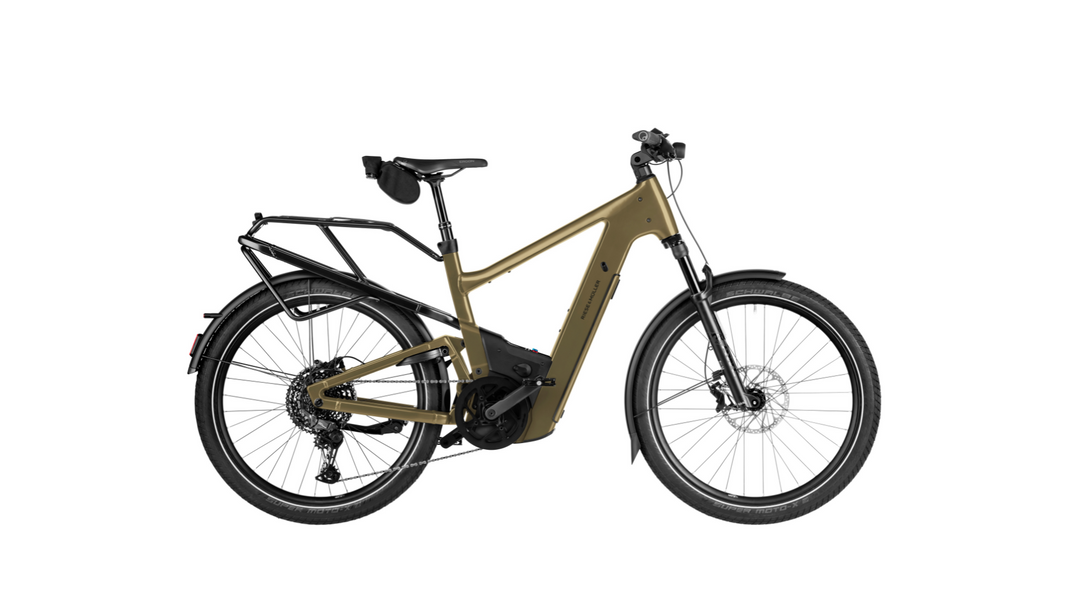 Factory Order - Riese & Müller Delite5