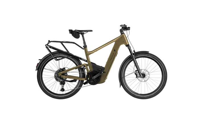 Factory Order - Riese & Müller Delite5