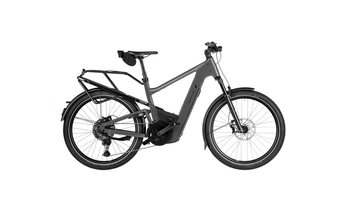 Factory Order - Riese & Müller Delite5