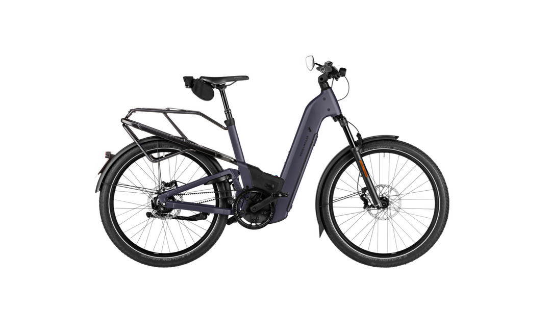 Factory Order - Riese & Müller Homage5